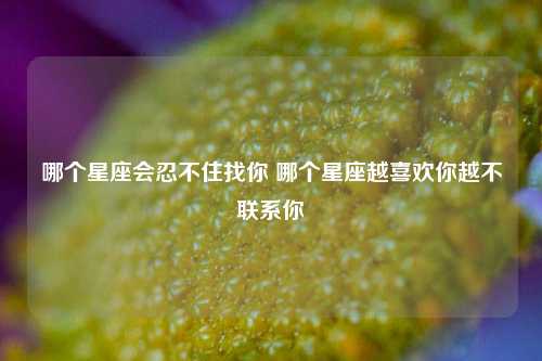 哪个星座会忍不住找你 哪个星座越喜欢你越不联系你