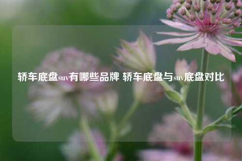 轿车底盘suv有哪些品牌 轿车底盘与suv底盘对比