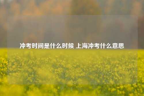 冲考时间是什么时候 上海冲考什么意思