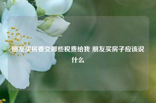 朋友买房要交哪些税费给我 朋友买房子应该说什么