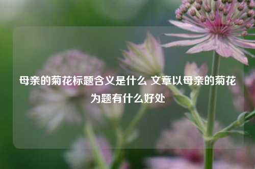 母亲的菊花标题含义是什么 文章以母亲的菊花为题有什么好处