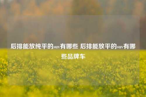 后排能放纯平的suv有哪些 后排能放平的suv有哪些品牌车