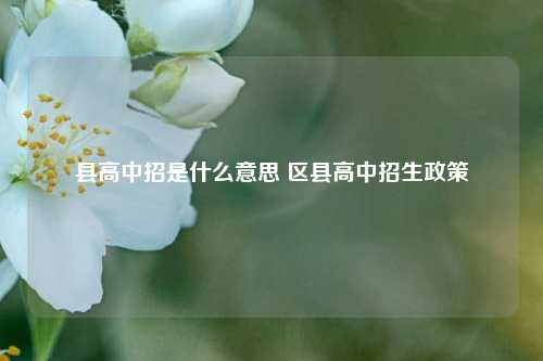 县高中招是什么意思 区县高中招生政策