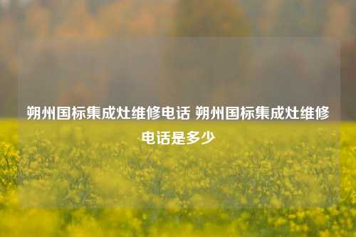 朔州国标集成灶维修电话 朔州国标集成灶维修电话是多少