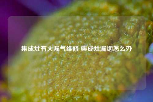 集成灶有火漏气维修 集成灶漏烟怎么办