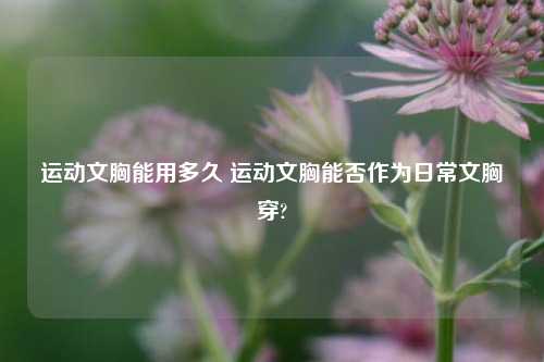 运动文胸能用多久 运动文胸能否作为日常文胸穿?