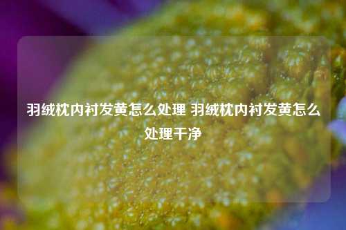 羽绒枕内衬发黄怎么处理 羽绒枕内衬发黄怎么处理干净